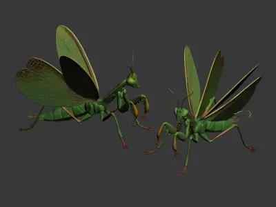 Mantis 3D model