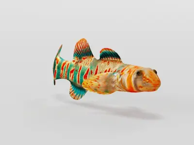 Candy Darter Fish Low-poly 3D model