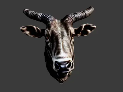 Bull Animal Head Low-poly 3D model