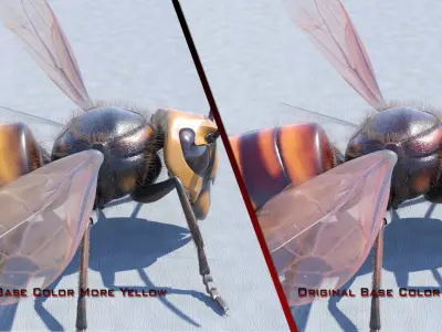 Murder Giant Asian Hornet  Low-poly 3D model