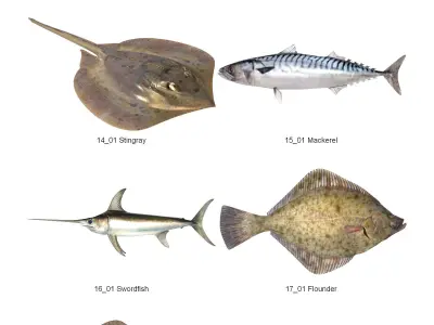 Dosch 3D - Fish 3D model