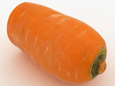 Half Carrot 3D model