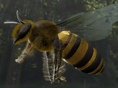 Honeybee 3D model