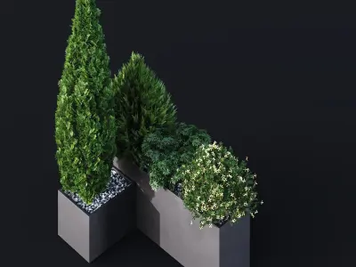 HQ Tree and bush garden box outdoor VOL 04 Free 3D model