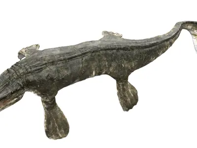 Tylosaurus 3D model Rigged Low-poly 3D model