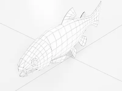 Rainbow trout fish 3d model  Low-poly 3D model