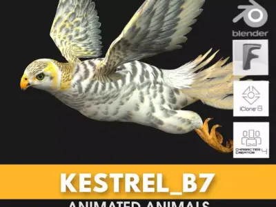 Kestrel B7 3D model