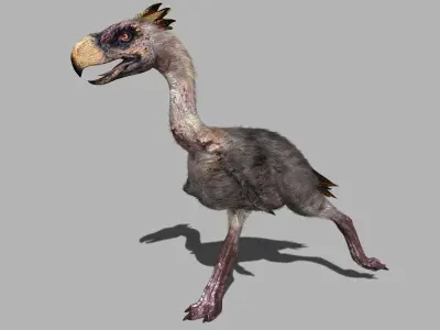 Terror Bird Phorusrhacos 3d model 3D model