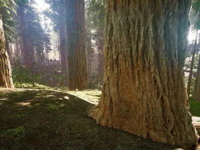 Redwood forest for game ready Low-poly 3D model