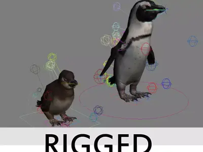 Penguins Rigged Low-poly 3D model