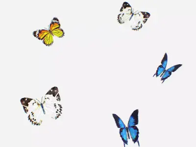 Animated Low Poly Art Several Butterflie Insect Low-poly 3D model