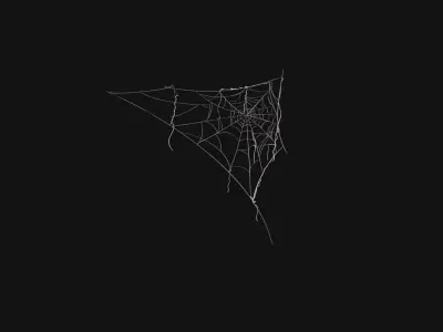 Spider Webs 3D Model Low-poly 3D model