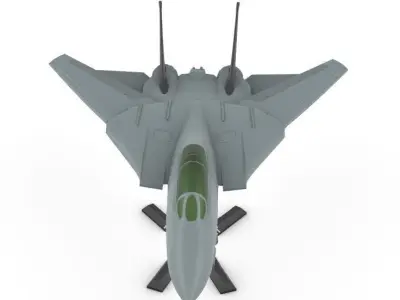 F-14 Tomcat wing movable 3D print model