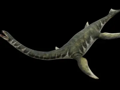 Zarafasaura - Plesiosaurs Elasmosaurs Low-poly 3D model