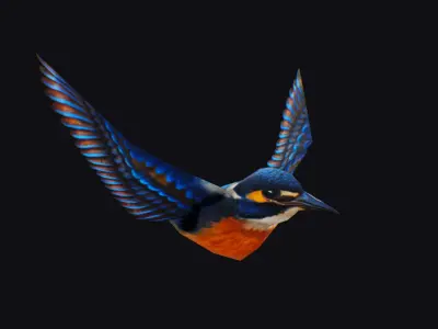Realistic Kingfisher Animated Bird Hummingbird Shoal Low-poly 3D model