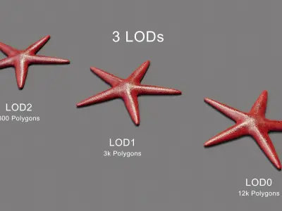 Red Starfish Low-poly 3D model