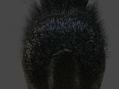 Gray Single Mane Lionhead Free 3D model