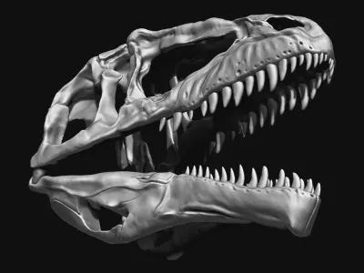 Giganotosaurus Skull Set Skeletons 3D model