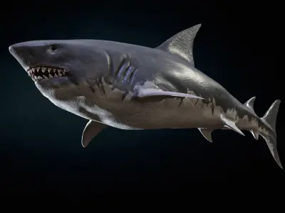 AlienShark 5 Low-poly 3D model