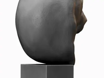 Grizzly Bear Head Sculpture Free 3D print model