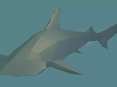 Hammerhead Shark Free low-poly 3D model