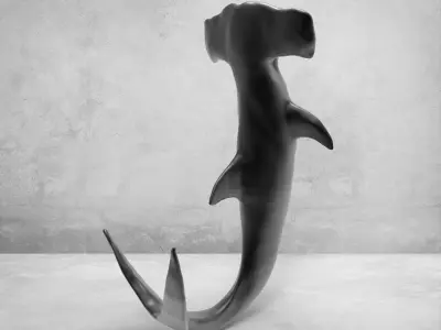 3D Hammer Shark 3D model