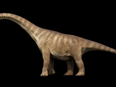 Brachiosaurus Sauropod Dinosaur Low-poly 3D model