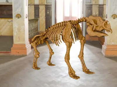 Realistic Mammals Fossil - Bundle Edition Low-poly 3D model