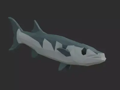 Low Poly Pacific Barracuda Low-poly 3D model
