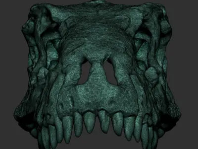 Dinosaur Skull 3D print model