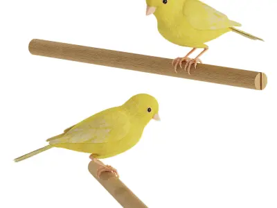 Canaries in a cage 3D model