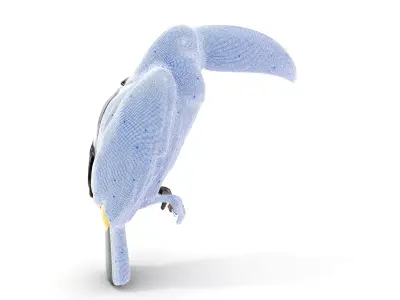 Tropical Toucan Bird D Model Pack Low-poly 3D model