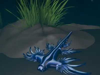 Blue Dragon Glaucus atlanticus 3D model