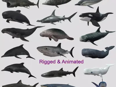 Big Fish Collection Animated - Game Ready Low-poly 3D model
