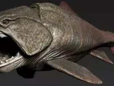 dunkleosteus fish Free 3D model