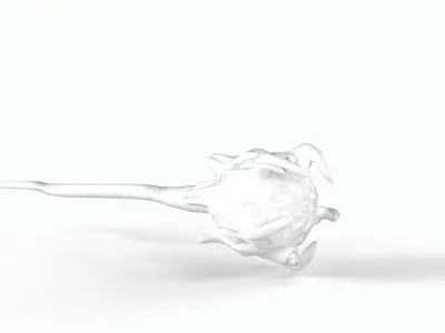 Alien sperm cell Price 9 Low-poly 3D model