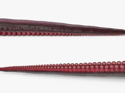 Tentacles 3D model