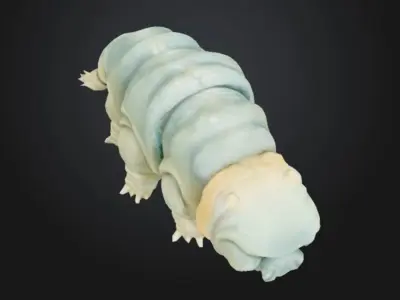 Tardigrade Wonder Toy Model STL OBJ 3D model