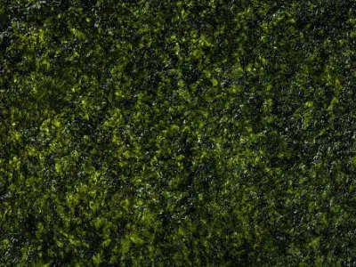 Sushi Model Low-Poly on wooden board Low-poly 3D model