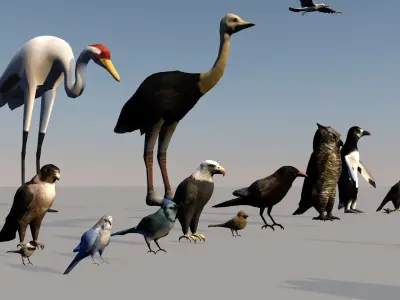 Game ready Low Poly bird collection two bald eagles flying in... Free low-poly 3D model