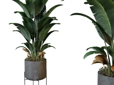 Medieval Claymore Sword Free 3D model