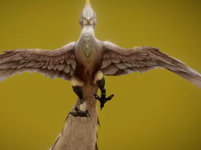 Feather Low-poly 3D model