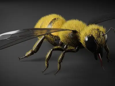 Honey bee 3D model
