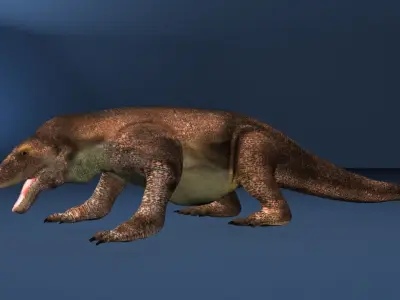 This is a low -polygonal model of the Dragon Komodo  3D model