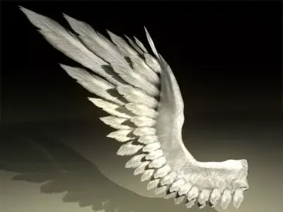 Bird Angel Wing 3D model