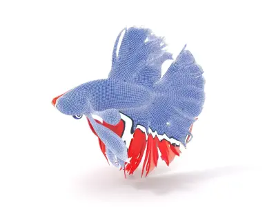 Vibrant Betta Fish model pack Low-poly 3D model