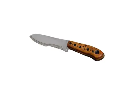 Tactical Outdoor Survival Knife Model 3D model