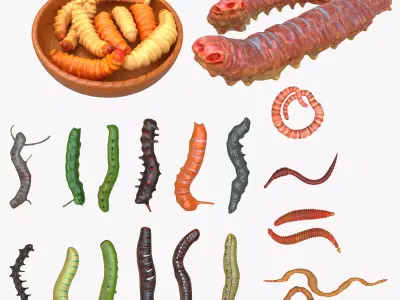 Worm Set Collection Low-poly 3D model
