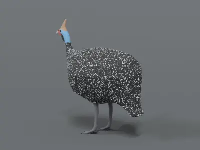 Low Poly Cartoon Helmeted Guineafowl Low-poly 3D model