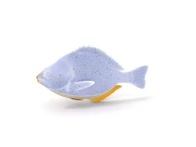 Spotted Fish model pack Low-poly 3D model
